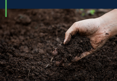 hand holding dirt with nutrient management word header