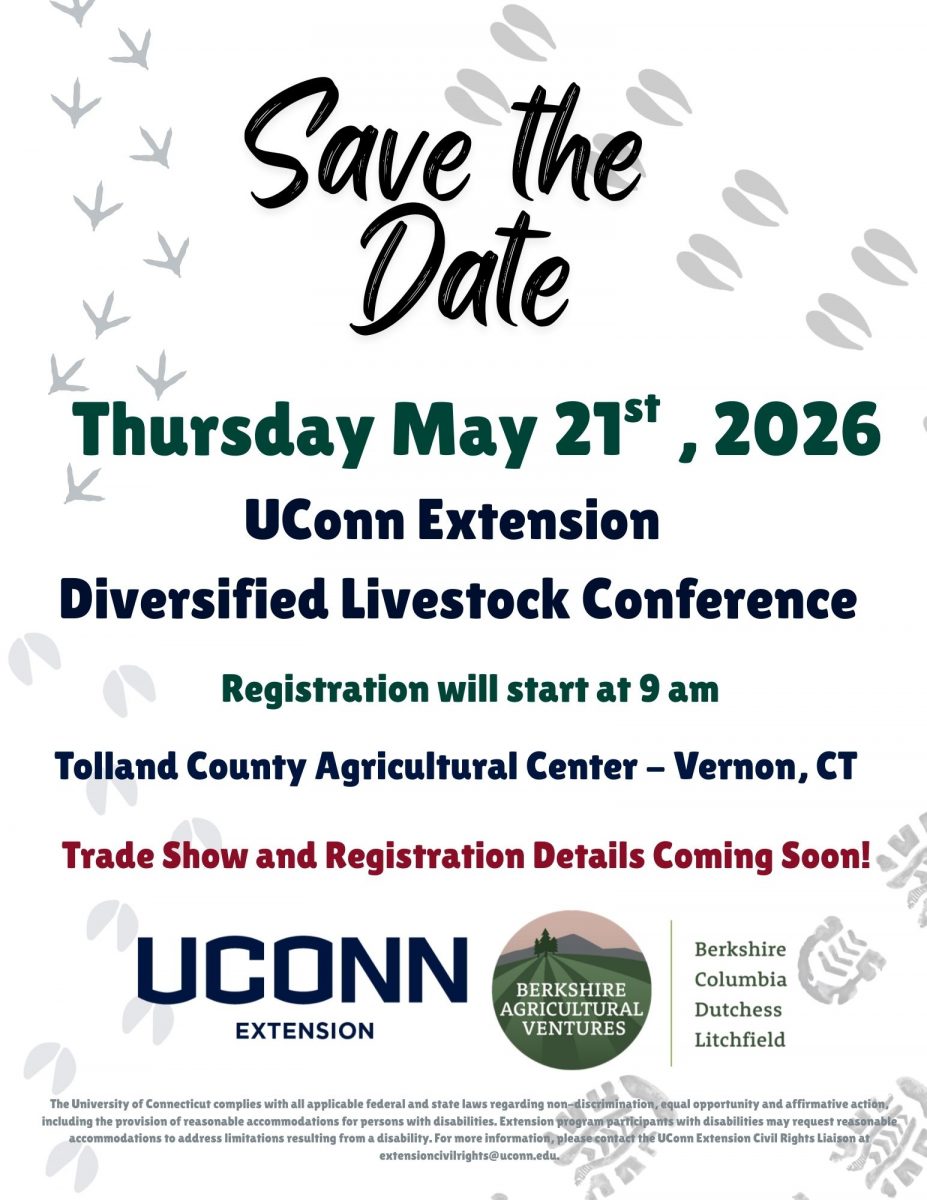 save the date flyer